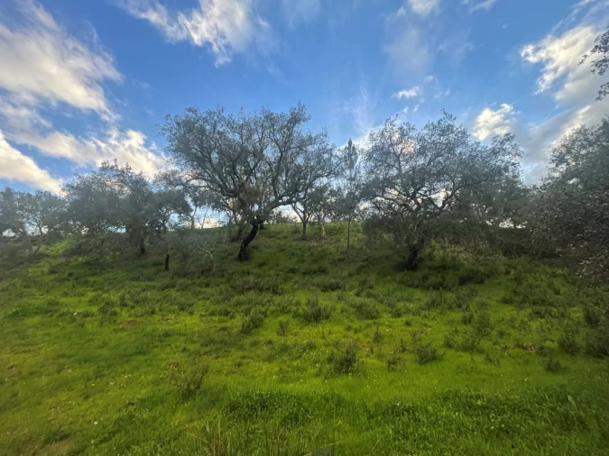 Quinta para Venda em Garvão e Santa Luzia Foto 74
