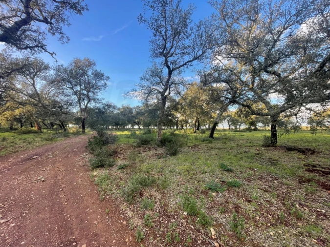 Quinta para Venda em Garvão e Santa Luzia Foto 79
