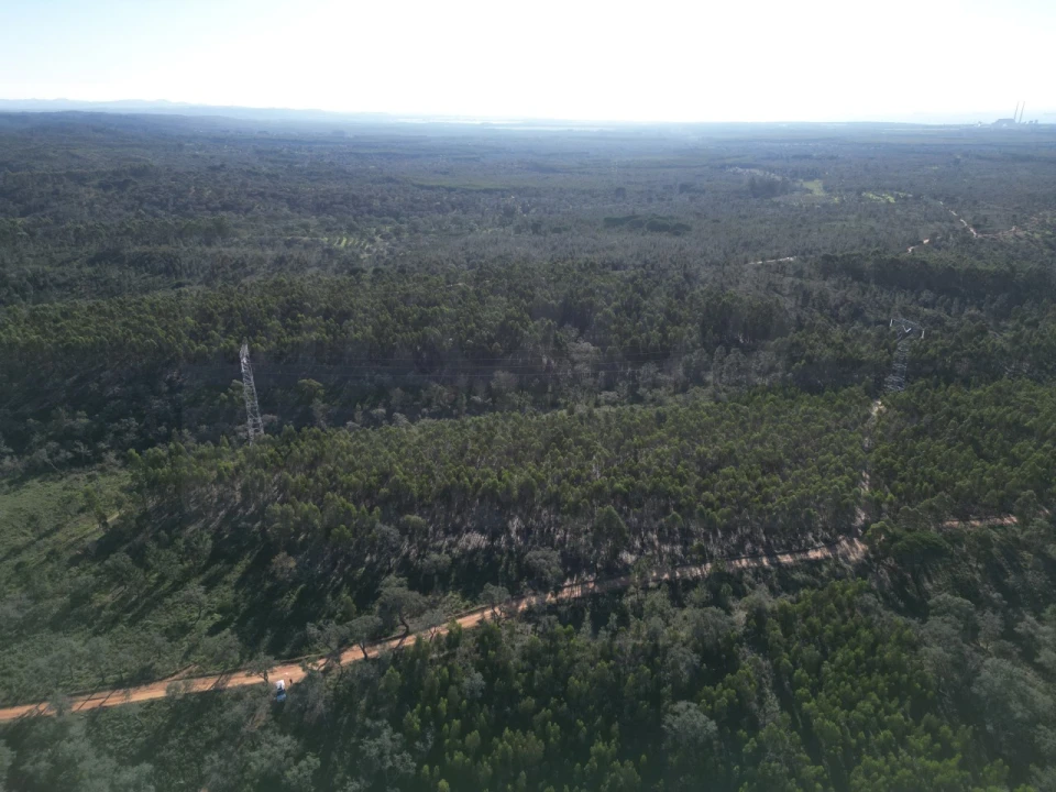 Quinta para Venda em Santiago do Cacém, Santa Cruz e São Bartolomeu da Serra Foto 3