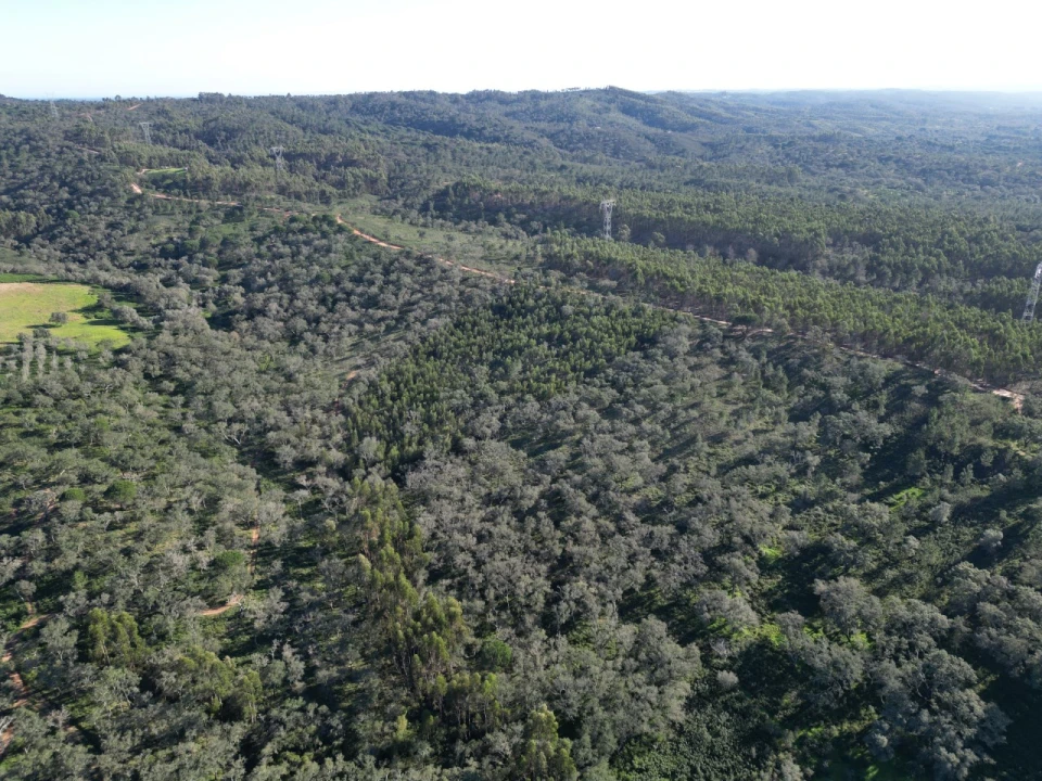 Quinta para Venda em Santiago do Cacém, Santa Cruz e São Bartolomeu da Serra Foto 4