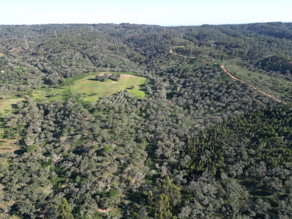Quinta para Venda em Santiago do Cacém, Santa Cruz e São Bartolomeu da Serra Foto 2