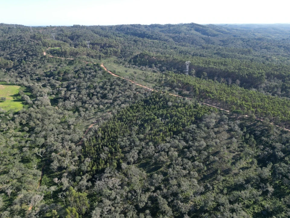 Quinta para Venda em Santiago do Cacém, Santa Cruz e São Bartolomeu da Serra Foto 5