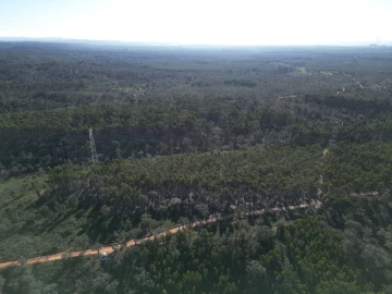 Quinta para Venda em Santiago do Cacém, Santa Cruz e São Bartolomeu da Serra
