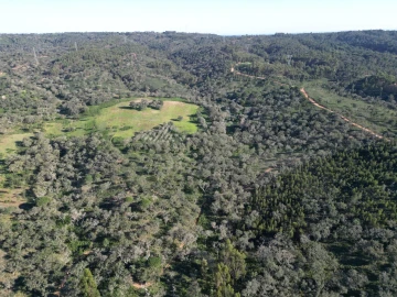 Quinta para Venda em Santiago do Cacém, Santa Cruz e São Bartolomeu da Serra