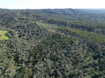 Quinta para Venda em Santiago do Cacém, Santa Cruz e São Bartolomeu da Serra