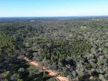 Quinta para Venda em Santiago do Cacém, Santa Cruz e São Bartolomeu da Serra