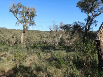 Quinta para Venda em Santiago do Cacém, Santa Cruz e São Bartolomeu da Serra