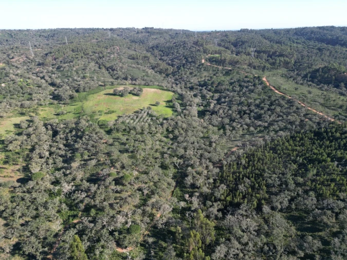 Quinta para Venda em Santiago do Cacém, Santa Cruz e São Bartolomeu da Serra Foto 2