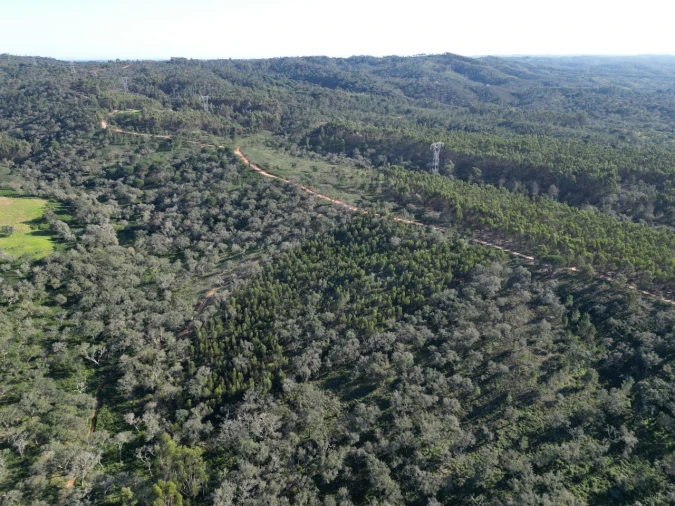 Quinta para Venda em Santiago do Cacém, Santa Cruz e São Bartolomeu da Serra Foto 5