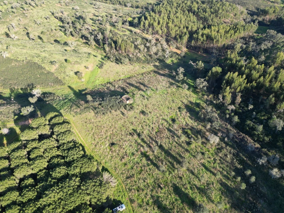 Quinta para Venda em Santiago do Cacém, Santa Cruz e São Bartolomeu da Serra Foto 1