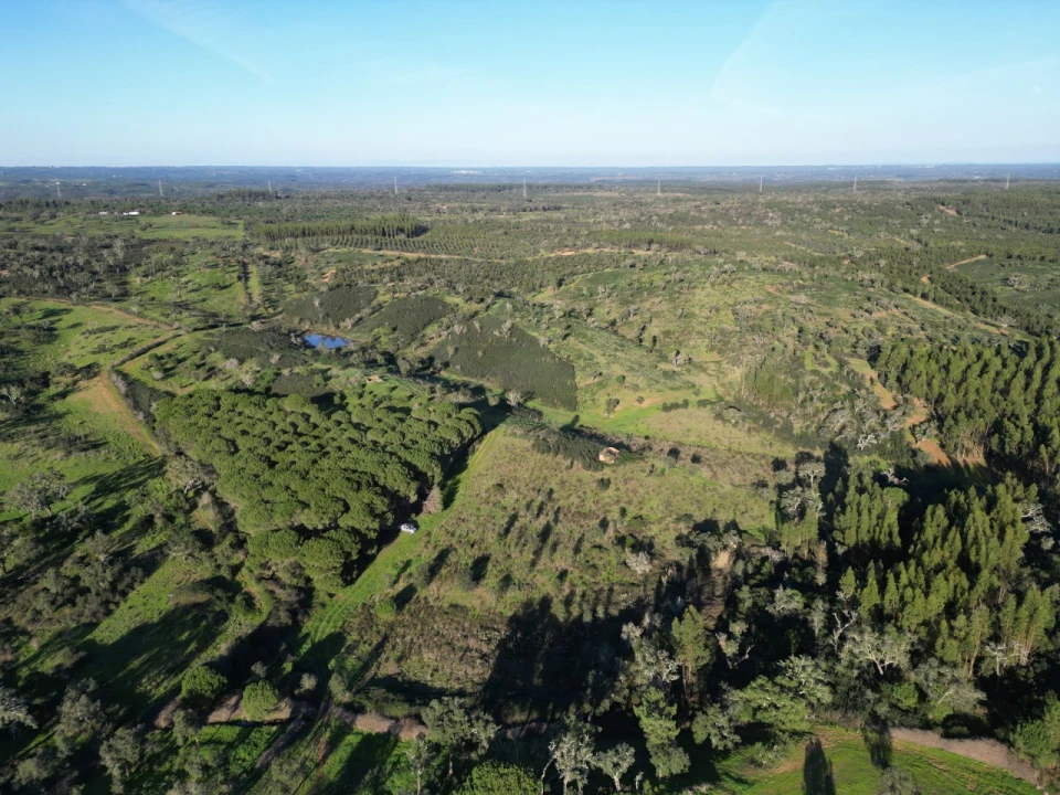 Quinta para Venda em Santiago do Cacém, Santa Cruz e São Bartolomeu da Serra Foto 6