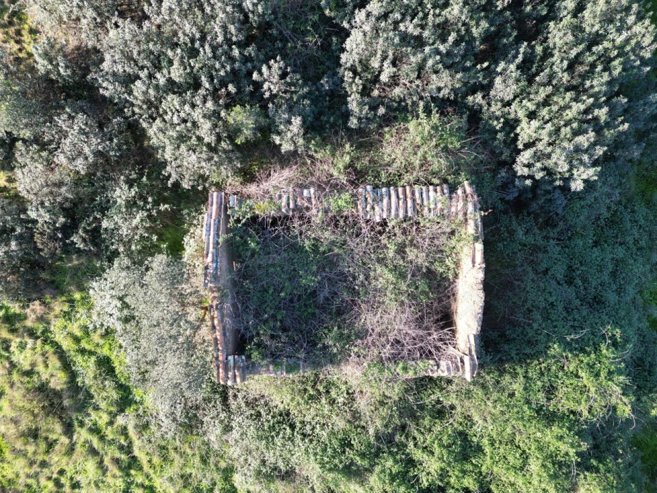Quinta para Venda em Santiago do Cacém, Santa Cruz e São Bartolomeu da Serra Foto 2