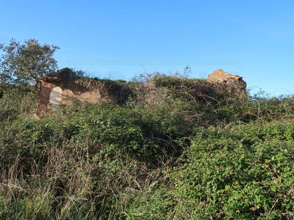 Quinta para Venda em Santiago do Cacém, Santa Cruz e São Bartolomeu da Serra Foto 7