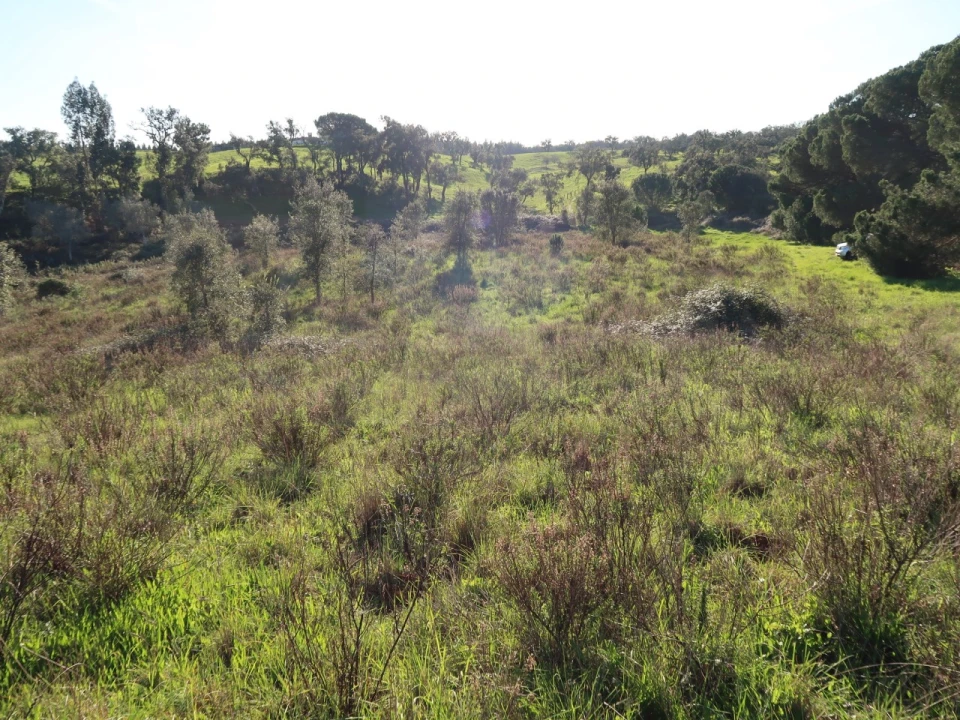 Quinta para Venda em Santiago do Cacém, Santa Cruz e São Bartolomeu da Serra Foto 17