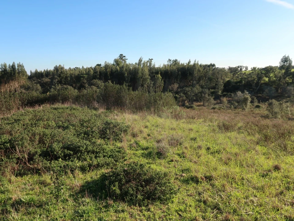 Quinta para Venda em Santiago do Cacém, Santa Cruz e São Bartolomeu da Serra Foto 18