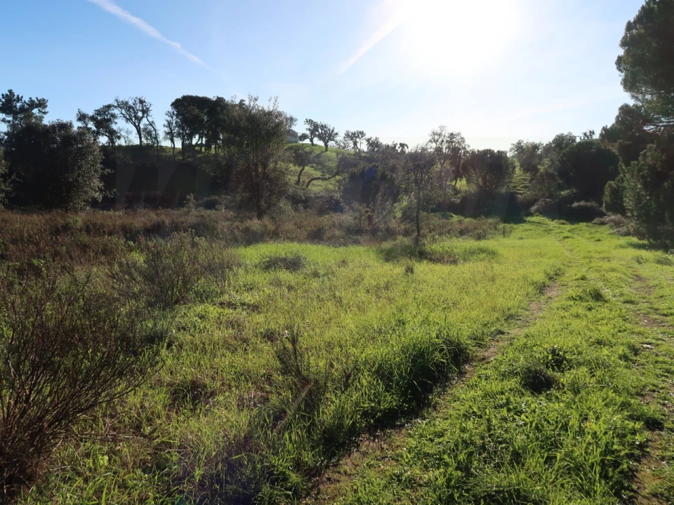 Quinta para Venda em Santiago do Cacém, Santa Cruz e São Bartolomeu da Serra Foto 23