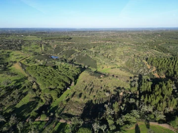 Quinta para Venda em Santiago do Cacém, Santa Cruz e São Bartolomeu da Serra
