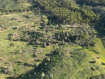Quinta para Venda em Santiago do Cacém, Santa Cruz e São Bartolomeu da Serra