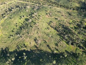Quinta para Venda em Santiago do Cacém, Santa Cruz e São Bartolomeu da Serra
