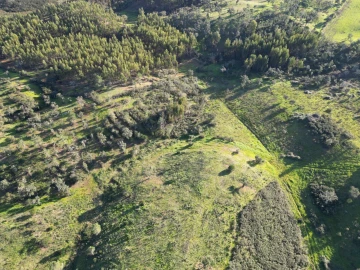 Quinta para Venda em Santiago do Cacém, Santa Cruz e São Bartolomeu da Serra