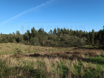 Quinta para Venda em Santiago do Cacém, Santa Cruz e São Bartolomeu da Serra