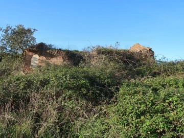 Quinta para Venda em Santiago do Cacém, Santa Cruz e São Bartolomeu da Serra