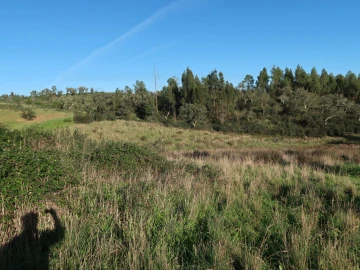 Quinta para Venda em Santiago do Cacém, Santa Cruz e São Bartolomeu da Serra