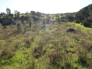 Quinta para Venda em Santiago do Cacém, Santa Cruz e São Bartolomeu da Serra