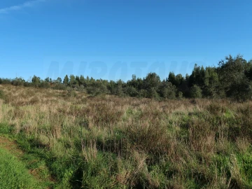 Quinta para Venda em Santiago do Cacém, Santa Cruz e São Bartolomeu da Serra