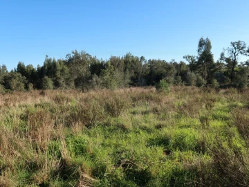 Quinta para Venda em Santiago do Cacém, Santa Cruz e São Bartolomeu da Serra