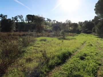 Quinta para Venda em Santiago do Cacém, Santa Cruz e São Bartolomeu da Serra
