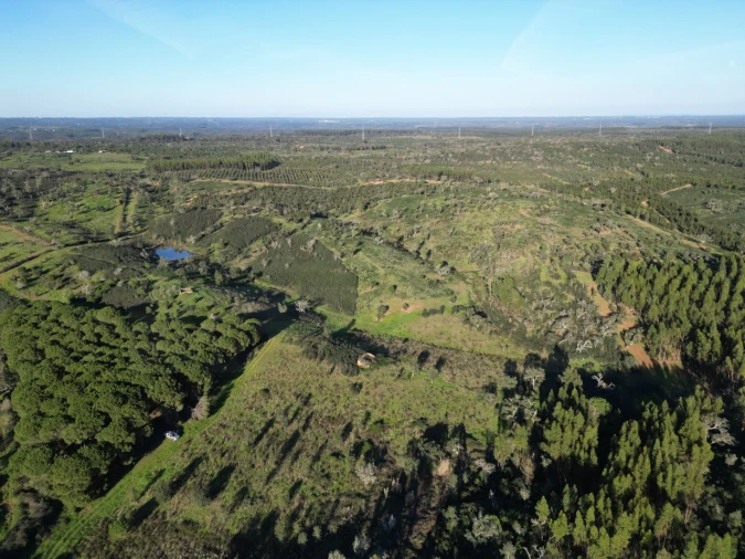 Quinta para Venda em Santiago do Cacém, Santa Cruz e São Bartolomeu da Serra Foto 5