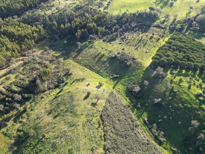 Quinta para Venda em Santiago do Cacém, Santa Cruz e São Bartolomeu da Serra Foto 11