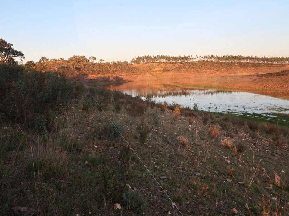 Terreno Agricola ou Rústico para Venda em Cercal Foto 9