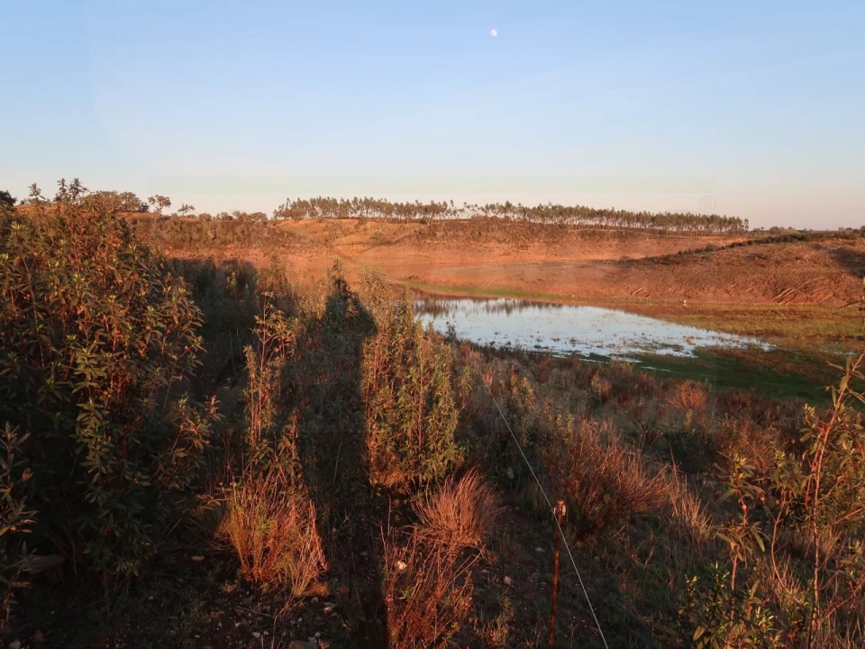 Terreno Agricola ou Rústico para Venda em Cercal Foto 12