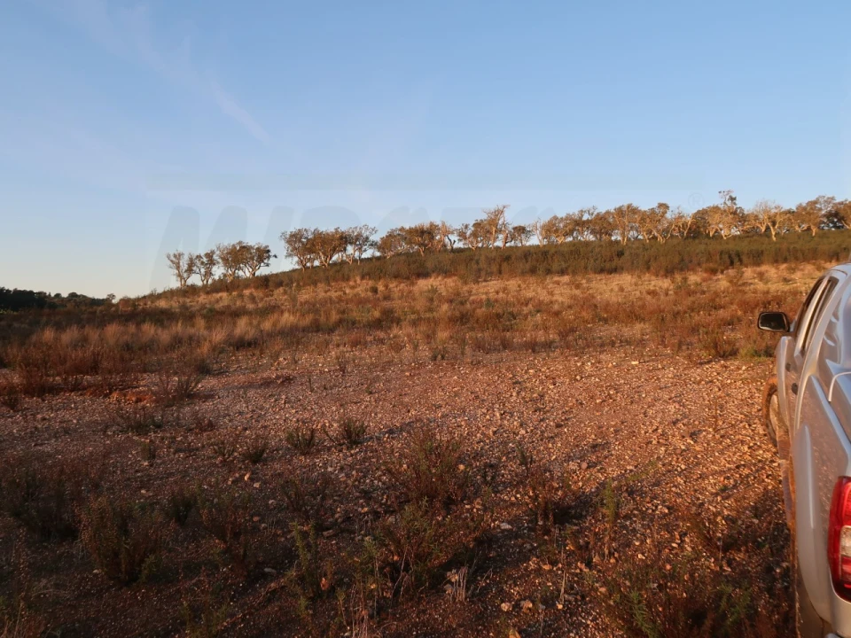 Terreno Agricola ou Rústico para Venda em Cercal Foto 16