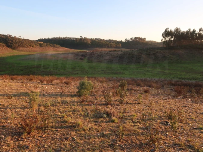 Terreno Agricola ou Rústico para Venda em Cercal Foto 14