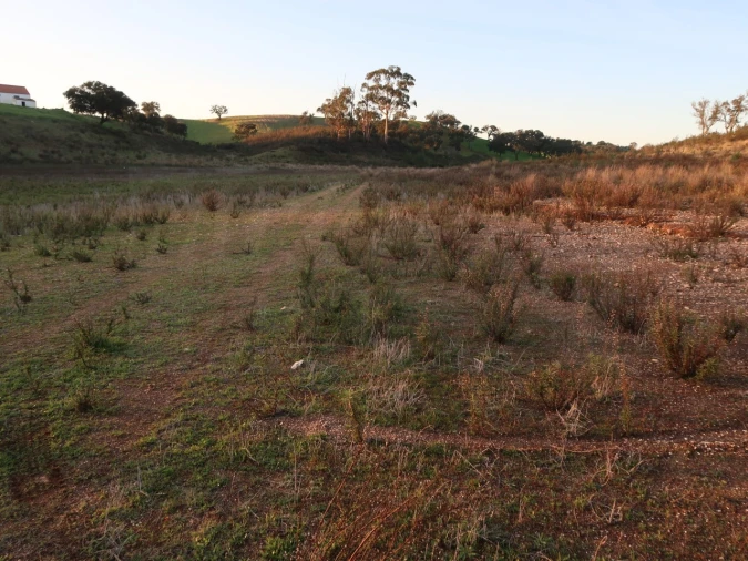 Terreno Agricola ou Rústico para Venda em Cercal Foto 15