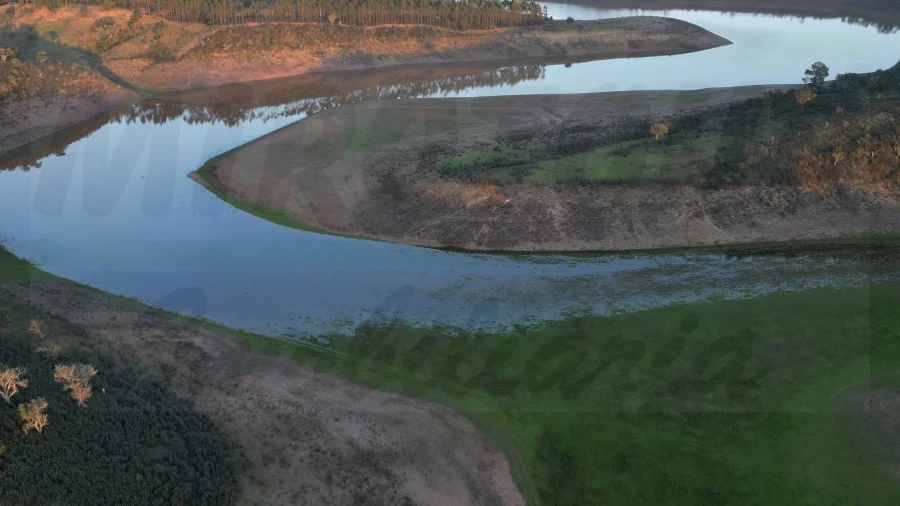 Terreno Agricola ou Rústico para Venda em Cercal