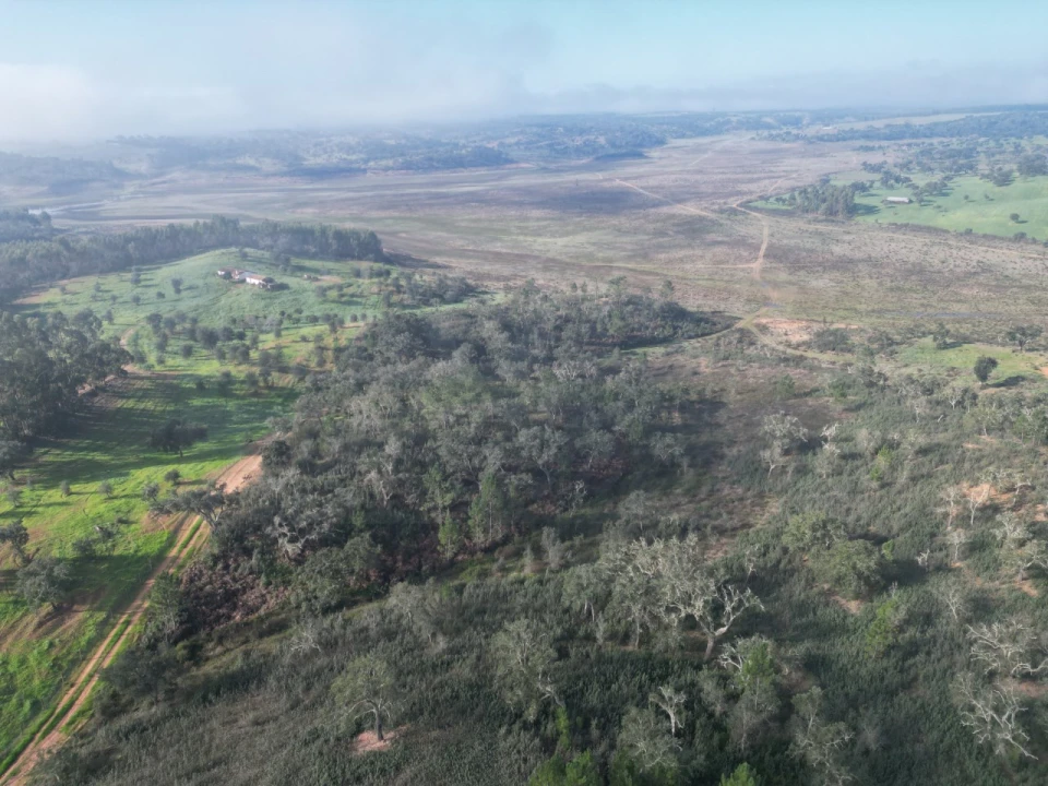 Terreno Agricola ou Rústico para Venda em São Domingos e Vale de Água Foto 2