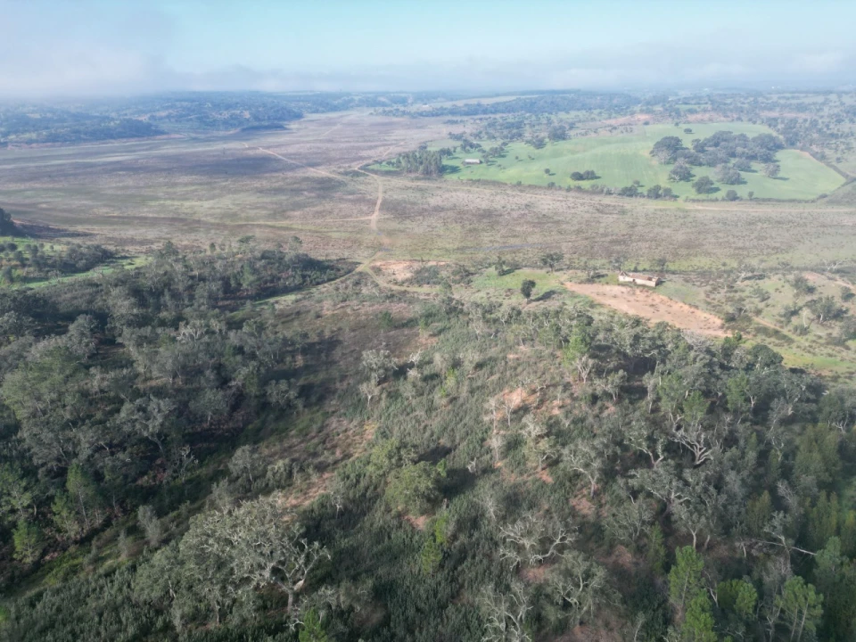 Terreno Agricola ou Rústico para Venda em São Domingos e Vale de Água Foto 3