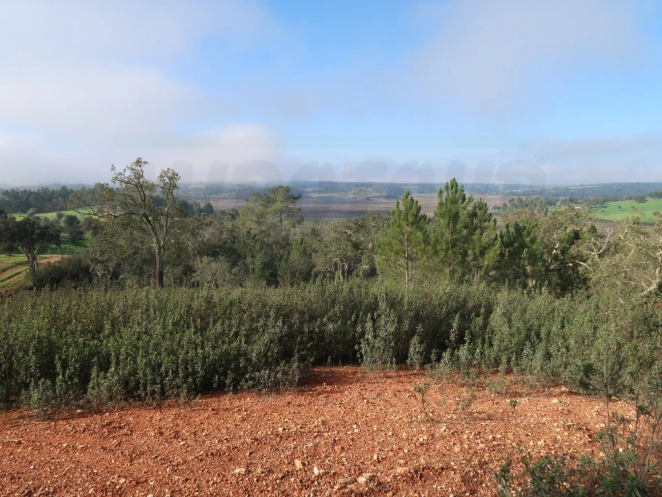 Terreno Agricola ou Rústico para Venda em São Domingos e Vale de Água Foto 9