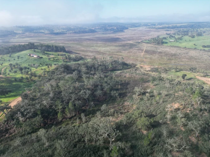Terreno Agricola ou Rústico para Venda em São Domingos e Vale de Água Foto 1