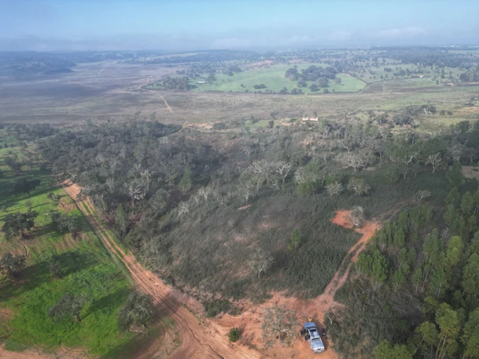 Terreno Agricola ou Rústico para Venda em São Domingos e Vale de Água Foto 4