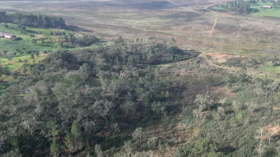 Terreno Agricola ou Rústico para Venda em São Domingos e Vale de Água