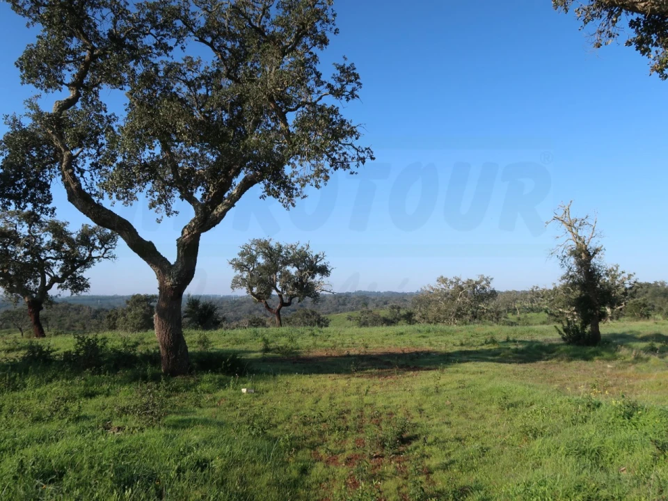 Quinta para Venda em Santiago do Cacém, Santa Cruz e São Bartolomeu da Serra Foto 10