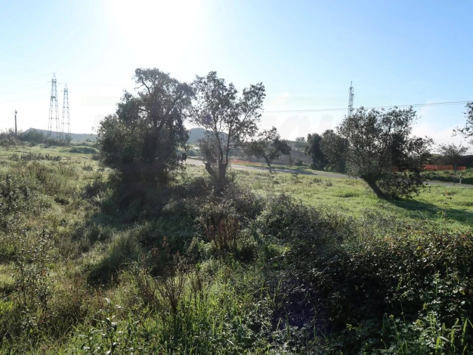 Quinta para Venda em Santiago do Cacém, Santa Cruz e São Bartolomeu da Serra Foto 12