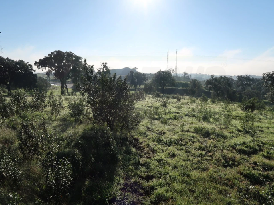 Quinta para Venda em Santiago do Cacém, Santa Cruz e São Bartolomeu da Serra Foto 14