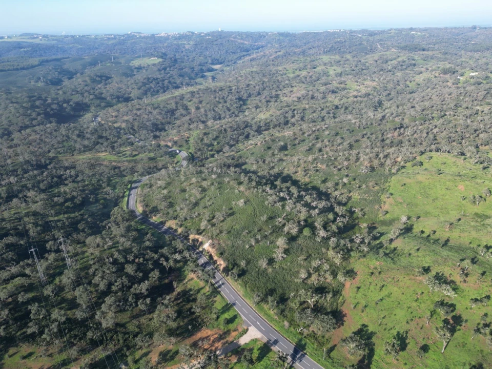 Quinta para Venda em Santiago do Cacém, Santa Cruz e São Bartolomeu da Serra Foto 20