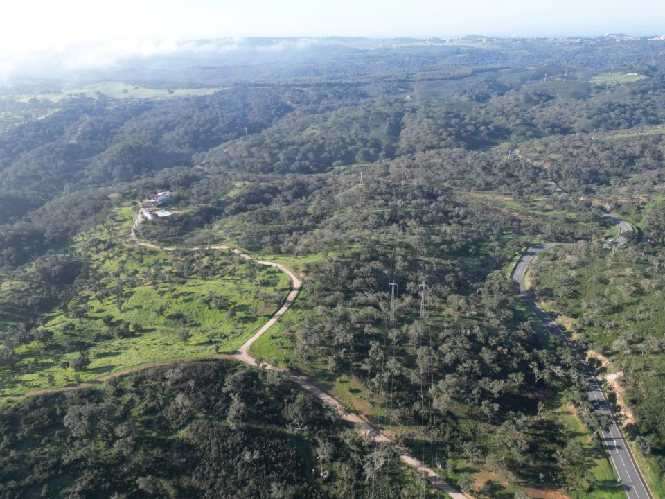 Quinta para Venda em Santiago do Cacém, Santa Cruz e São Bartolomeu da Serra Foto 21